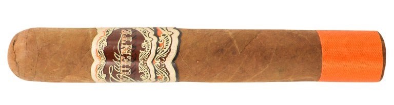 Arturo Fuente Casa Fuente Robusto cigar
