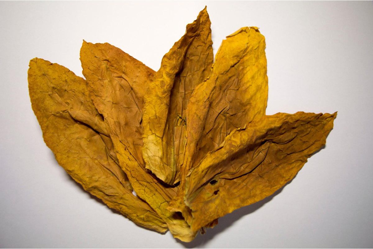 Oriental leaf